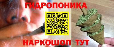 mdpv Брянск