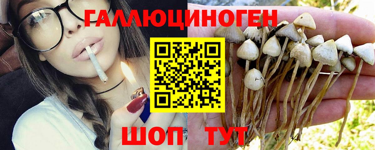 Галлюциногенные грибы прущие грибы  Псилоцибиновые грибы ЛСД  где можно купить   Вход с VPN  Грязи 